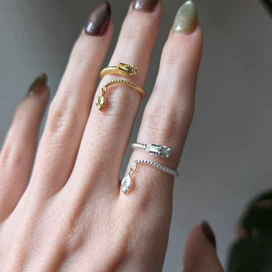 DRACONIS ✦ Drachenring aus 990er Silber